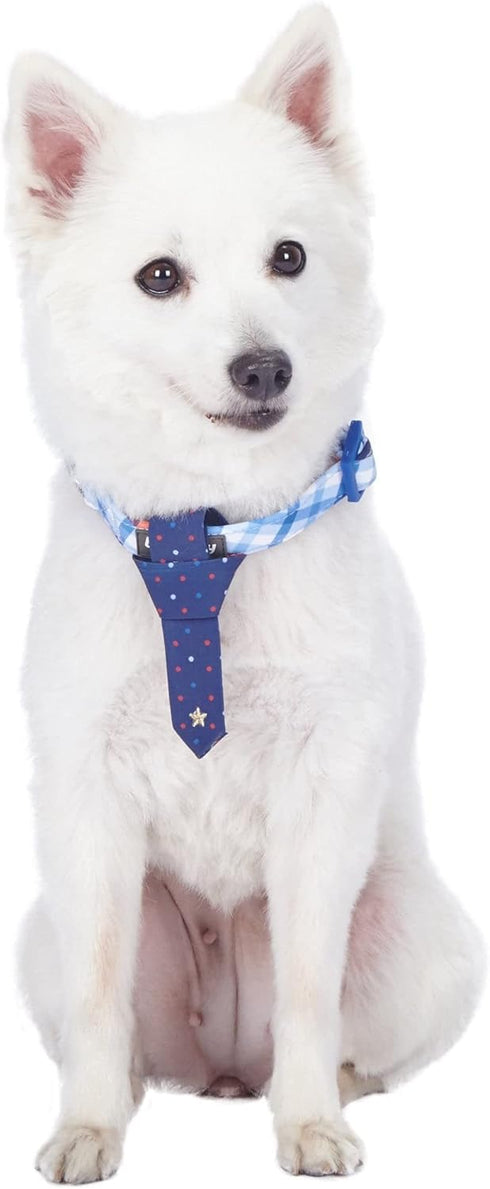 Blueberry Pet Adjustable Tie Dog Collar, Blue Hue Scottish Plaid Style, Medium, Neck 14.5"-20"