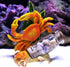 WAYUTO Crab Figurine and Drift Bottle with Conch Aquarium Decoration Resin Crab Statue for Home Decor Fish Tank