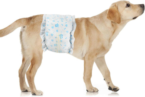 Ypfyed Disposable Dog Diapers Male 96 Count Belly Bands for Bale Dogs (Waist