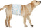 Ypfyed Disposable Dog Diapers Male 96 Count Belly Bands for Bale Dogs (Waist