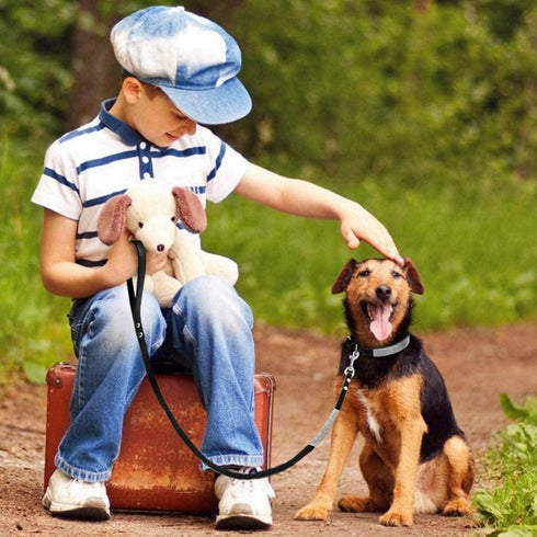 Cute Dazzling Soft Suede Leather Bling Rhinestone Pet Collar and Leash Combo Set, XXS Black