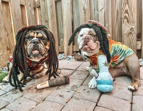 Funny Plush Squeaky Dog Toy - Nestpark Doggy Doobie for All Sizes