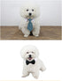 4 Pieces Pets Dog Cat Bowtie Pet Costume, Adjustable Formal Necktie Collar for Small Dogs and Cats, Puppy Grooming