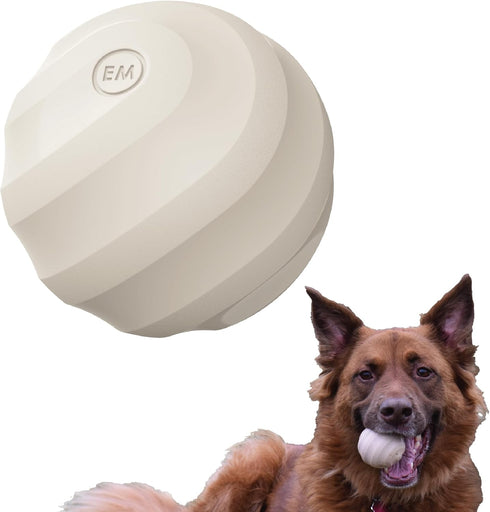 Decorative Fetch & Play Dog Ball Toy, Beef Flavor with Squeaker, Natural Rubber/Latex, Medium Size (2.5”)