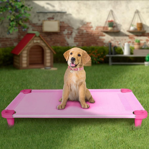 Acrimet Elevated Pet Dog Bed Cot, Washable Breathable Mesh Fabric, Stainless Steel Frame, Indoor & Outdoor Use,