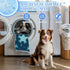 imiBBWQu Summer 27" 22" Cooling Dog Bed Star Blue Sky Pet Ice Pad Mat Washable Beach Cooling Pad Dog Water Bed for Car