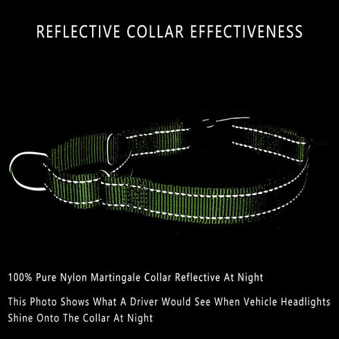 Plutus Pet Reflective Martingale Collar with Buckle, Durable Adjustable Training Collar for Small Medium Large Dogs,