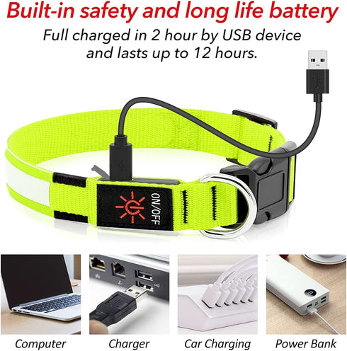BSEEN Light Up Dog Collar, Rechargeable LED Reflective Pet Glow Collar for Night Walking (Neon Green, Medium)