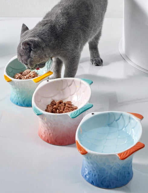 Raised Tilted Ceramic Cat Food Bowl - Cute Fish Shape Elevated Slanted Dish for Kitty Dry Wet Treats