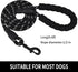 5/6 FT Strong Pet Dog Leash with Soft Padded Handle,Highly Reflective Rope for Night Walking,360-Degree Rotating Metal Buckle Without Tangles,Suitable for Small,Medium and Large Dogs.(6ft)