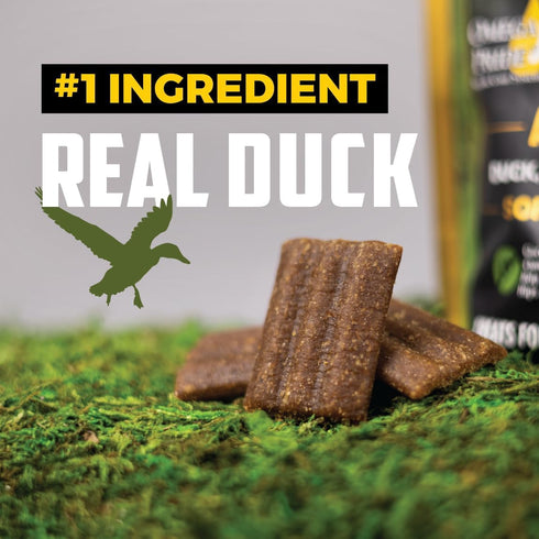 Field Master Active Hip & Joint Duck, Sweet Potato & Berry Recipe, Grain-Free Jerky Bites Dog Treats, 20 oz