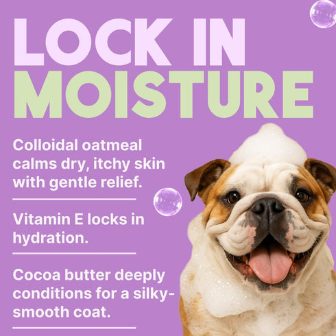 20oz. TropiClean Dog Conditioner, Easy Detangling & Moisturizing Conditioner, Puppy Safe, Made in the USA, Kiwi & Cocoa