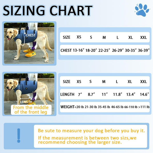 Coodeo Dog Lift Harness - Pet Support & Rehabilitation Sling Lift for Old, Disabled Dogs (Blue, S)