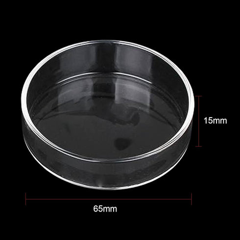 1PCS 60mm/65mm Aquarium Shrimp Feeding Dish, Glass Round Fish Feeder Bowl Reptiles Water Food Dish Clear Dishes Tray