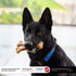 SPOT Bam-Bones Wishbone Dog Chew - Made with Strong Bamboo Fiber, 7in, Chicken Flavor for Light to Moderate Chewers