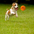 Hank & Harley Dog Toy Treat Ball - Food & Treat Dispensing, Fetching and Chewing Toys, Durable, Dishwasher Safe (Ball)