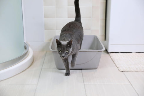 Petmate Open Cat Litter Box, Extra Large Nonstick Litter Pan, Durable Standard Litter Box, Mouse Grey