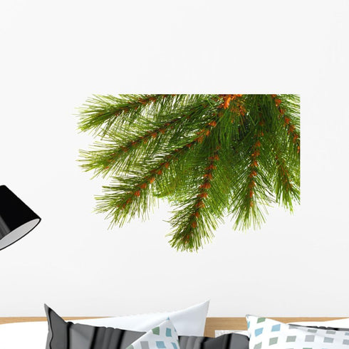 Wallmonkeys Artificial Pine Tree Branch Wall Decal, Peel and Stick Holiday Graphics, 24 in H x 24 in W