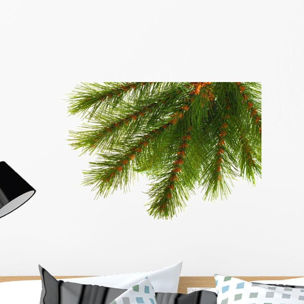 Wallmonkeys Artificial Pine Tree Branch Wall Decal, Peel and Stick Holiday Graphics, 24 in H x 24 in W