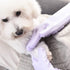 Waterproof Silicone Pet Grooming Gloves - Ambidextrous Scrubber Gloves for Dog Cat Bathing, Hair Removal, Lavender