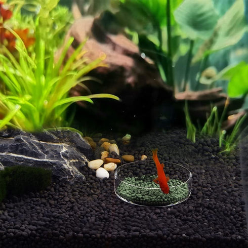 Aquarium Glass Feeder Dish, Round Clear Glass Fish Feeding Bowl, 60mm, Prevents Food Spilling in Fish Tank