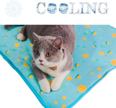 SEIS Dog Ice Pad - Ice Silk Cats Kennel Mat Pet Cooling Pad Summer Cool Bamboo Mat (Blue Fruit, L)