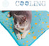 SEIS Dog Ice Pad, Ice Silk Cats Kennel Mat, Breathable Summer Cooling Pad for Pets (Blue Fruit, M)