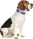 Dog Collar, Adjustable Dog Collars for Medium Dogs, Cute Puppy Collar for Boy and Girl Dogs, Soft Nylon Pet Collar with Quick Release Buckle for Walking Running,Van Gogh Starry Night Dog Collar