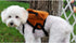 Pet Backpack - Cute Dog Backpack with Adjustable Straps for Small Dogs and Cats, Dog Saddle Bags for Outdoor Travel