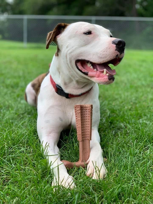 SPOT Bam-bones PLUS T Bone, Durable Bamboo Fiber & Nylon Chew Toy for Aggressive Chewers, 7in