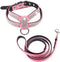 Dogs Kingdom Full Rhinestone Crystal Pet Dog Harness Leash Set - Customized Rhinestone Puppy Small Dog Chihuahua