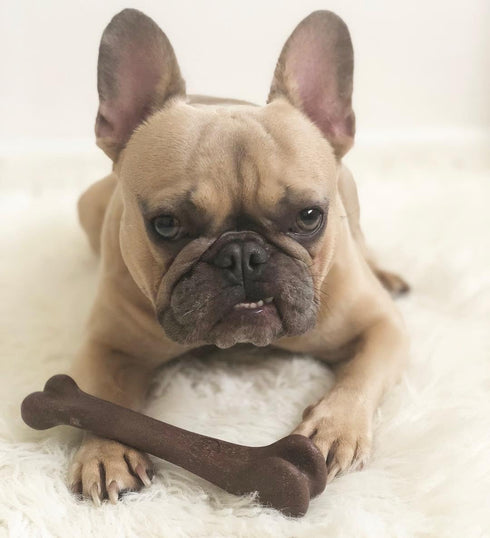SPOT Bam-Bones Bone - Durable Long Lasting Dog Chew for Light to Moderate Chewers, 7.25in, Bacon Flavor