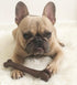 SPOT Bam-Bones Bone - Durable Long Lasting Dog Chew for Light to Moderate Chewers, 7.25in, Bacon Flavor