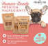 Portland Pet Food Company Pumpkin Dog Treats, Healthy Grain-Free Biscuits for Small Medium & Large Dogs, 5 oz