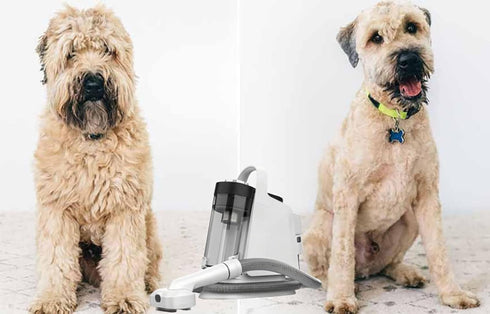 Lumirio 13000Pa 5 Dog Grooming Kit, Dog Grooming Vacuum, Pet Grooming Vacuum for Dogs with Pet Grooming Tools