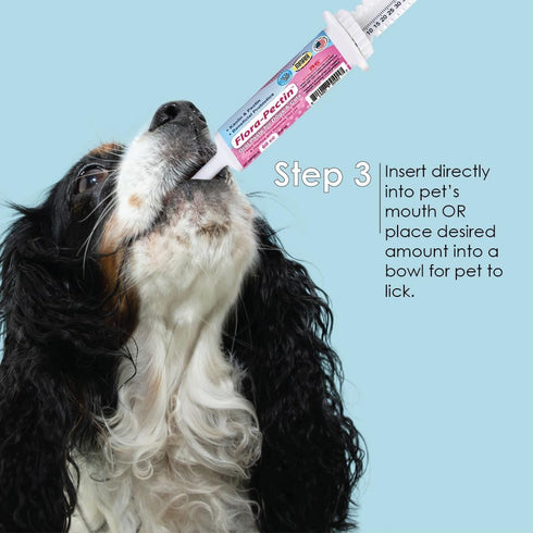 (15 Oral Paste for Dogs & Cats-Helps Reduce Occasional Loose Stool & Diarrhea, Balance Gut pH, Support Normal Digestion
