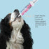 Upset (30 Oral Paste for Dogs & Cats Fast Diarrhea Relief & Firm Stool Support, Helps Stomach, Reduces Occasional Loose