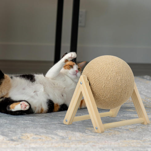 STOBOK Cat Scratcher with Wood Scratching Ball - Cats and Kittens Indoor Toy for Claw Care and Exercise - Round