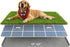 Large Dog Grass Pad with Tray, 34x22 Inch Puppy Potty Training System