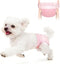 Xloey Stretchy Disposable Diapers - 10 Pcs Leak-Proof Pull-ups for Cats & Female
