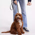 Multi Function 8ft Genuine Leather Dog Leash - Hands Free Training for Small, Medium, Large Dogs (Black)