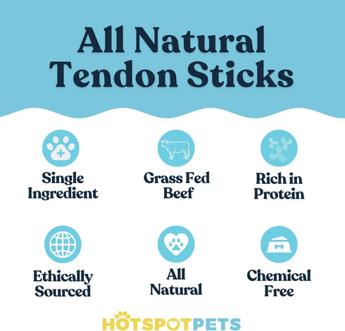 hotspot pets Beef Tendon Chews for Dogs (10 Pack) - 8 Inch All Natural, Grass-Fed Premium USDA Beef Stick Treats