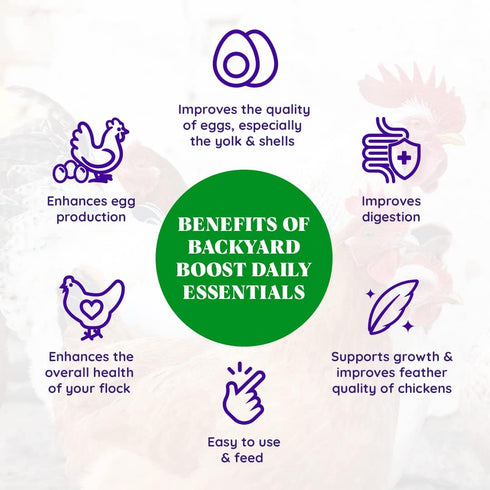 2.5 Backyard Boost Daily Essentials Chicken Feed | Pelleted High Protein Food for Laying Hens | Pound Bag