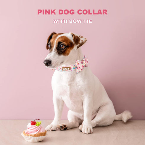 Pink Dog Collar with Bow Tie, Cute Cake Design, Durable and Adjustable, Available in Small Medium Large