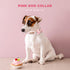 Pink Dog Collar with Bow Tie, Cute Cake Design, Durable and Adjustable, Available in Small Medium Large
