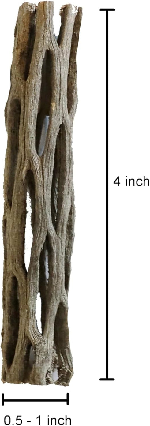 Natural Cholla Wood for Aquarium Decoration, 4 Inch (3 Pack)