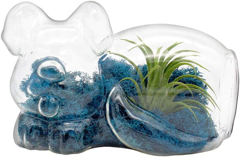 5.75" Puppy Dog Shaped Glass Terrarium Kit with Live Tillandsia Air Plant