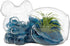 5.75" Puppy Dog Shaped Glass Terrarium Kit with Live Tillandsia Air Plant
