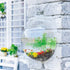 Wall Mounted Acrylic Fish Bowl, 7 Inch Clear Hanging Flower Pot Vase Decoration for Aquarium Plant Wall Decor