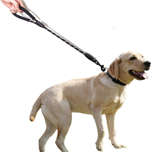 Short Dog Leash for Training | Comfortable Padded Handle | Medium Large Dogs Up to 80lbs, Black